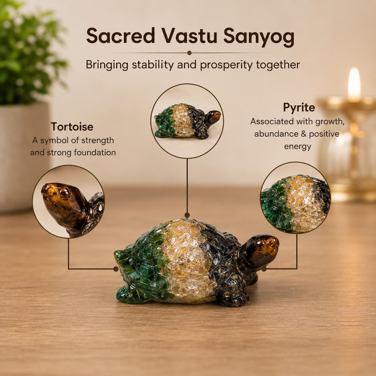 Vastu Dhan Yog Tortoise