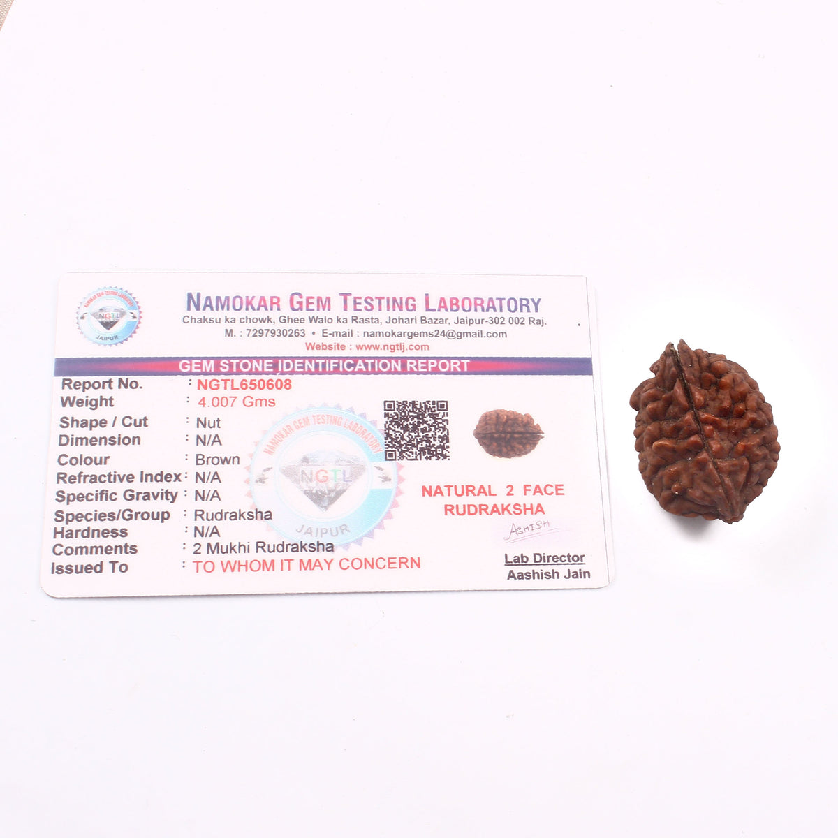 2 Mukhi Rudraksha