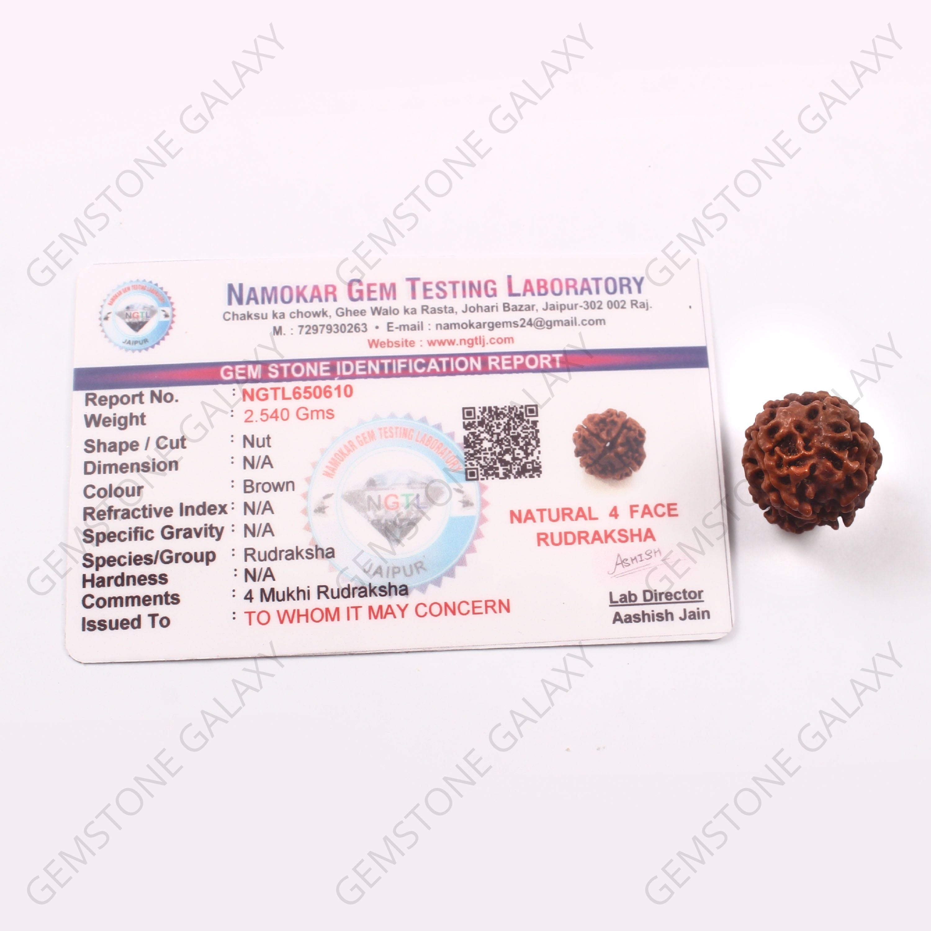 4 Mukhi Rudraksha