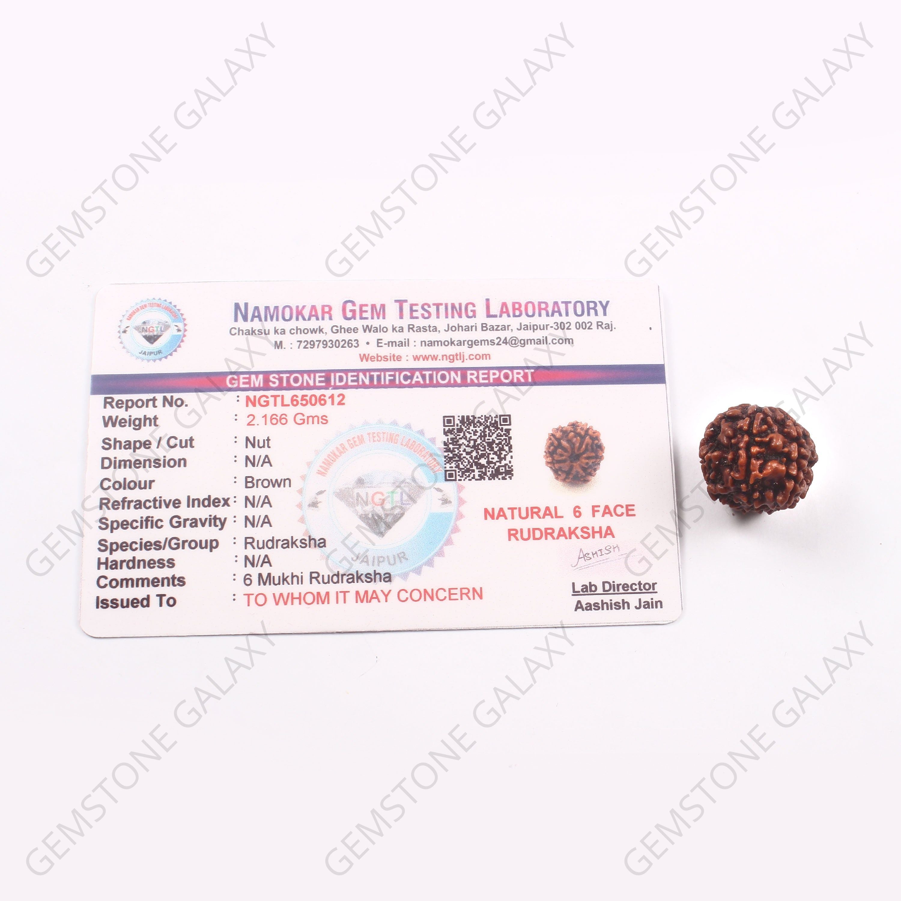6 Mukhi Rudraksha