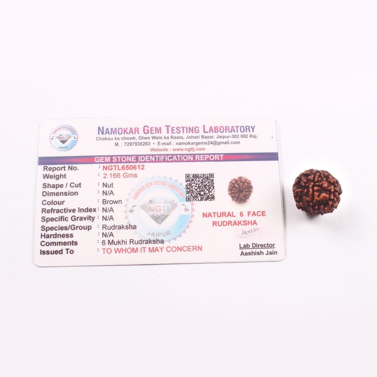 6 Mukhi Rudraksha