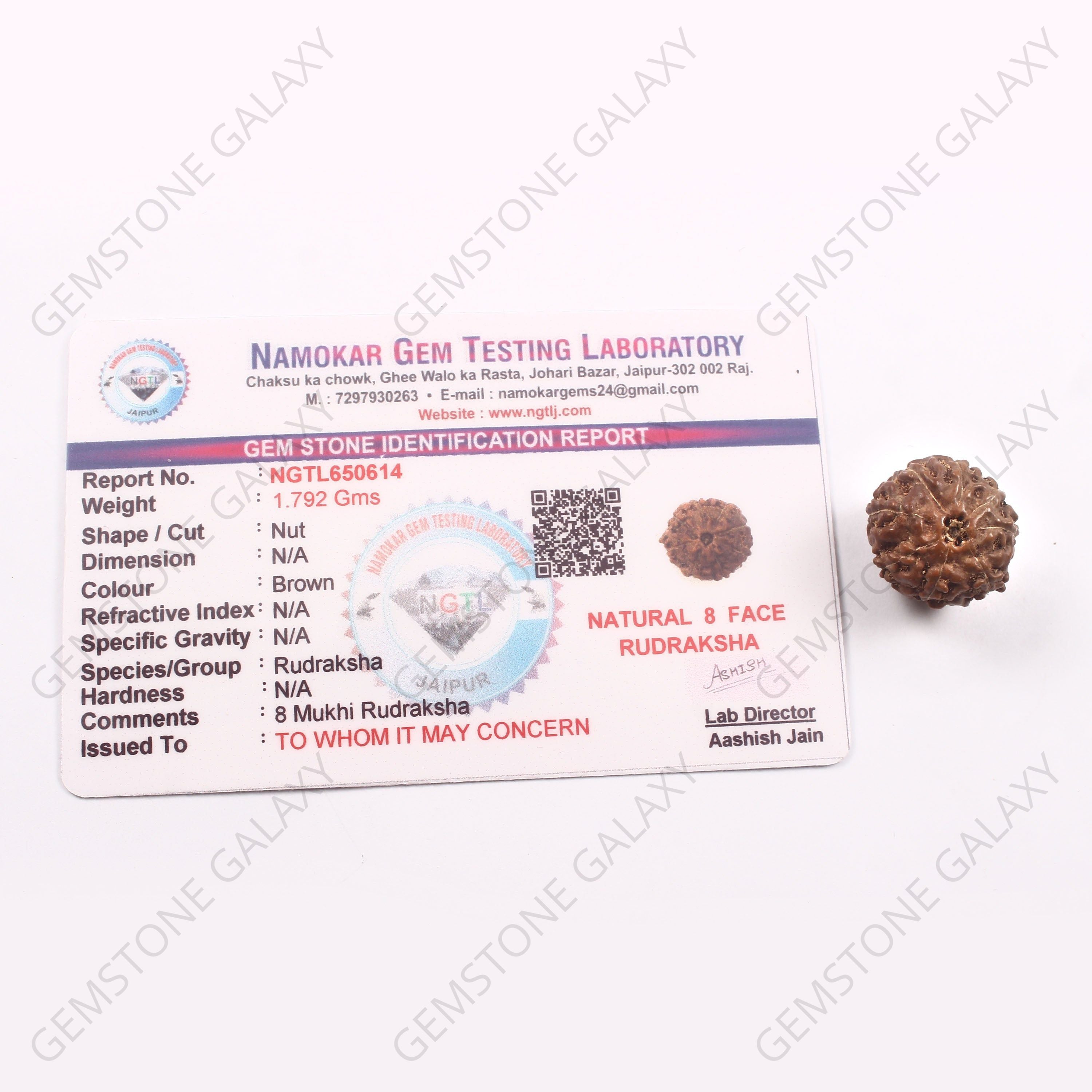8 Mukhi Rudraksha