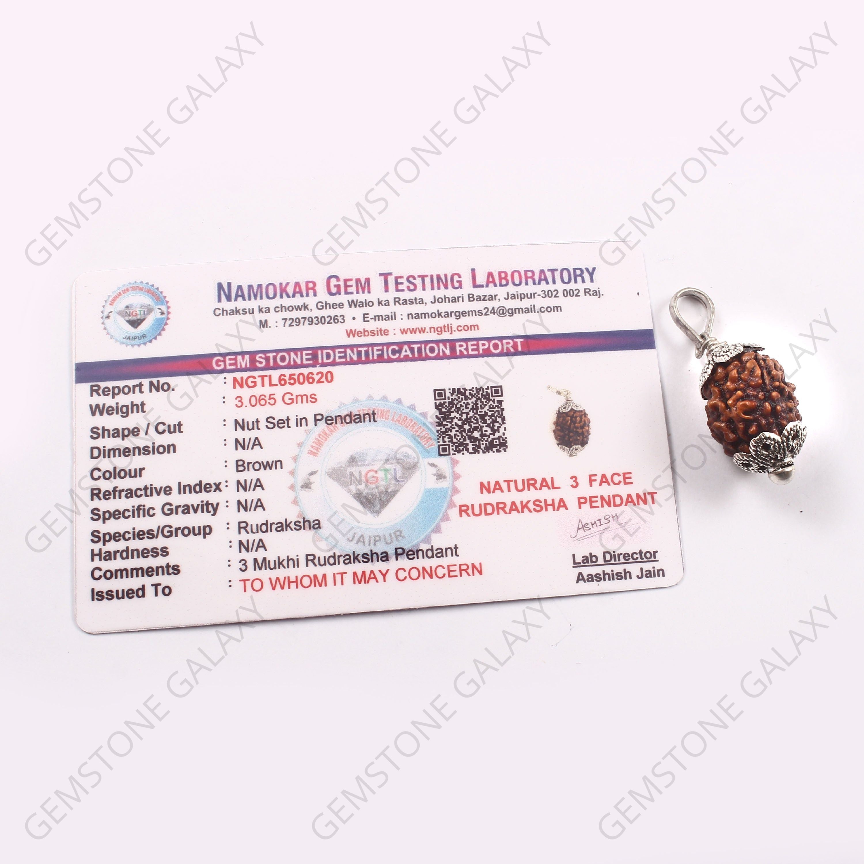 3 Mukhi Rudraksha Pendant