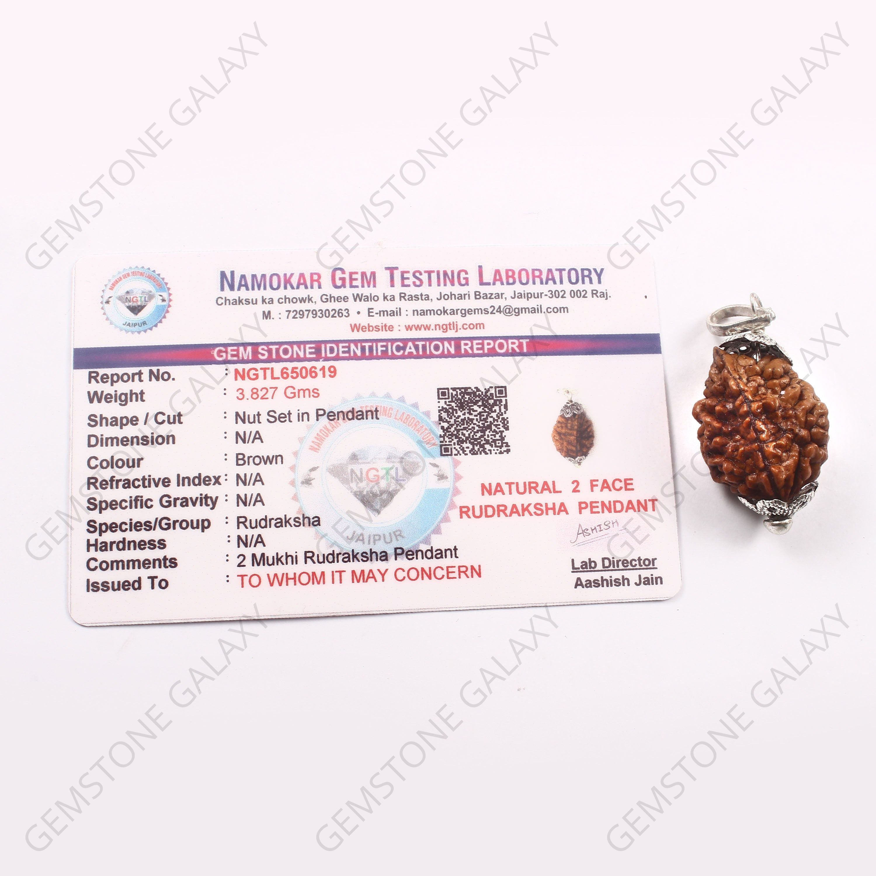 2 Mukhi Rudraksha Pendant