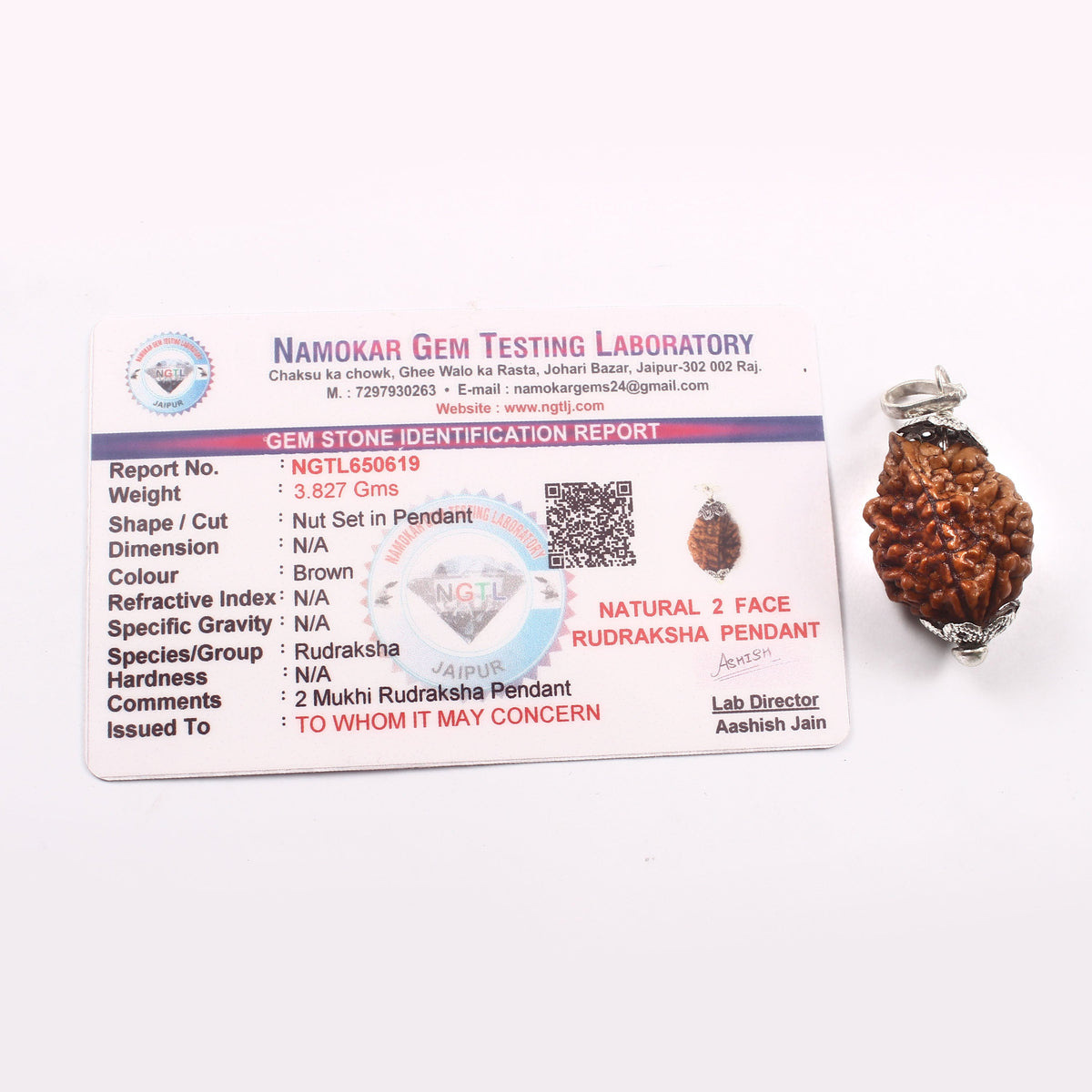 2 Mukhi Rudraksha