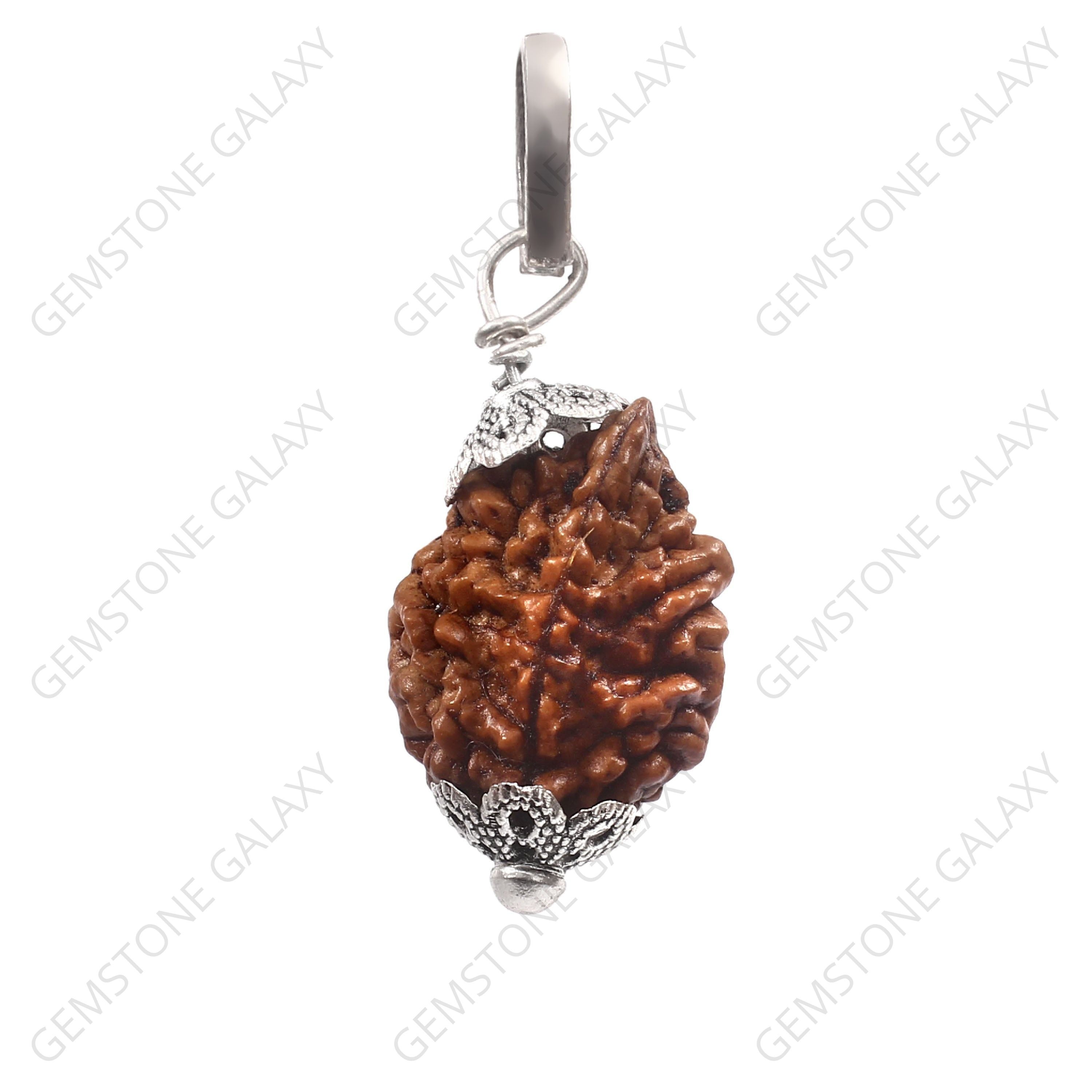 2 Mukhi Rudraksha Pendant