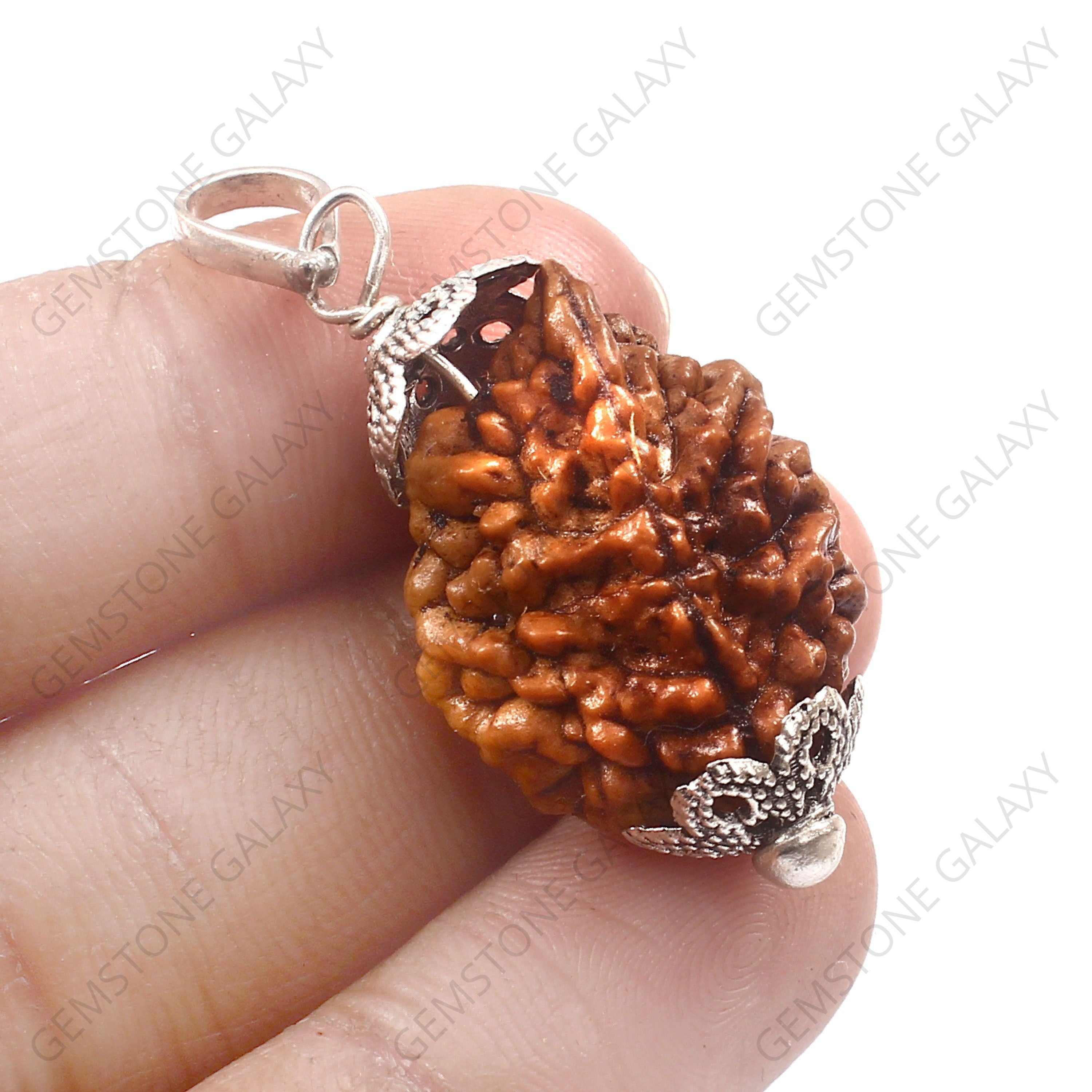 2 Mukhi Rudraksha Pendant