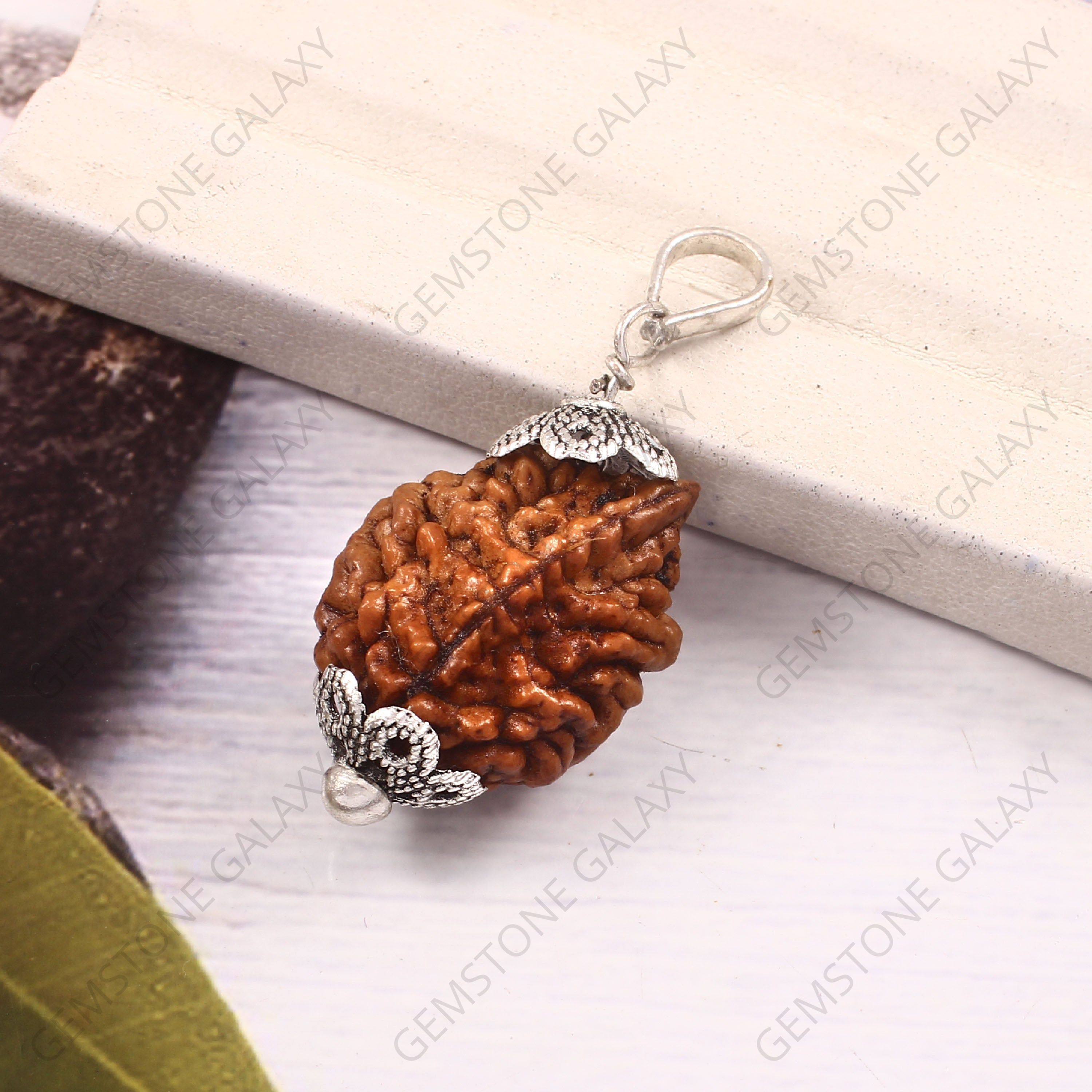 2 Mukhi Rudraksha