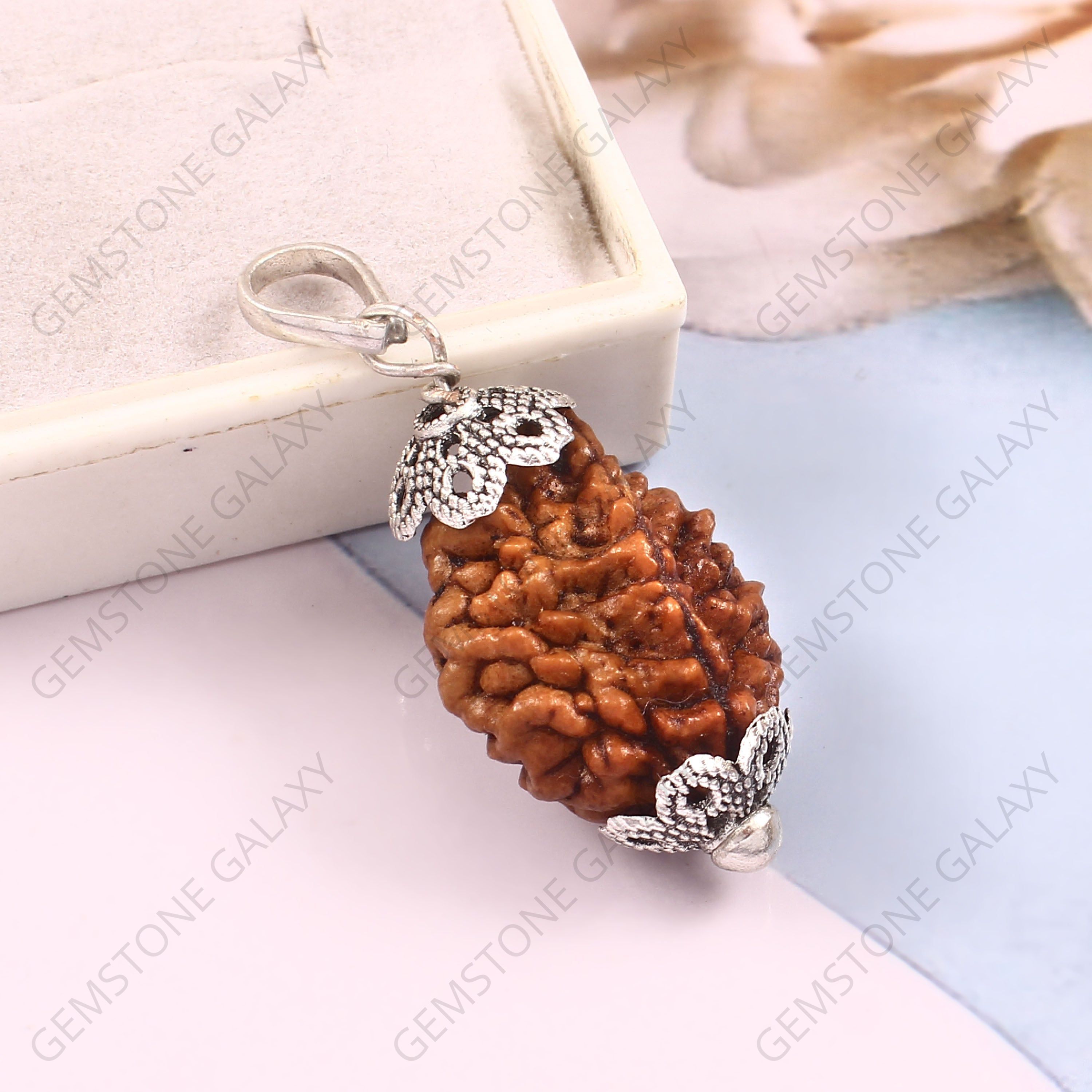 2 Mukhi Rudraksha