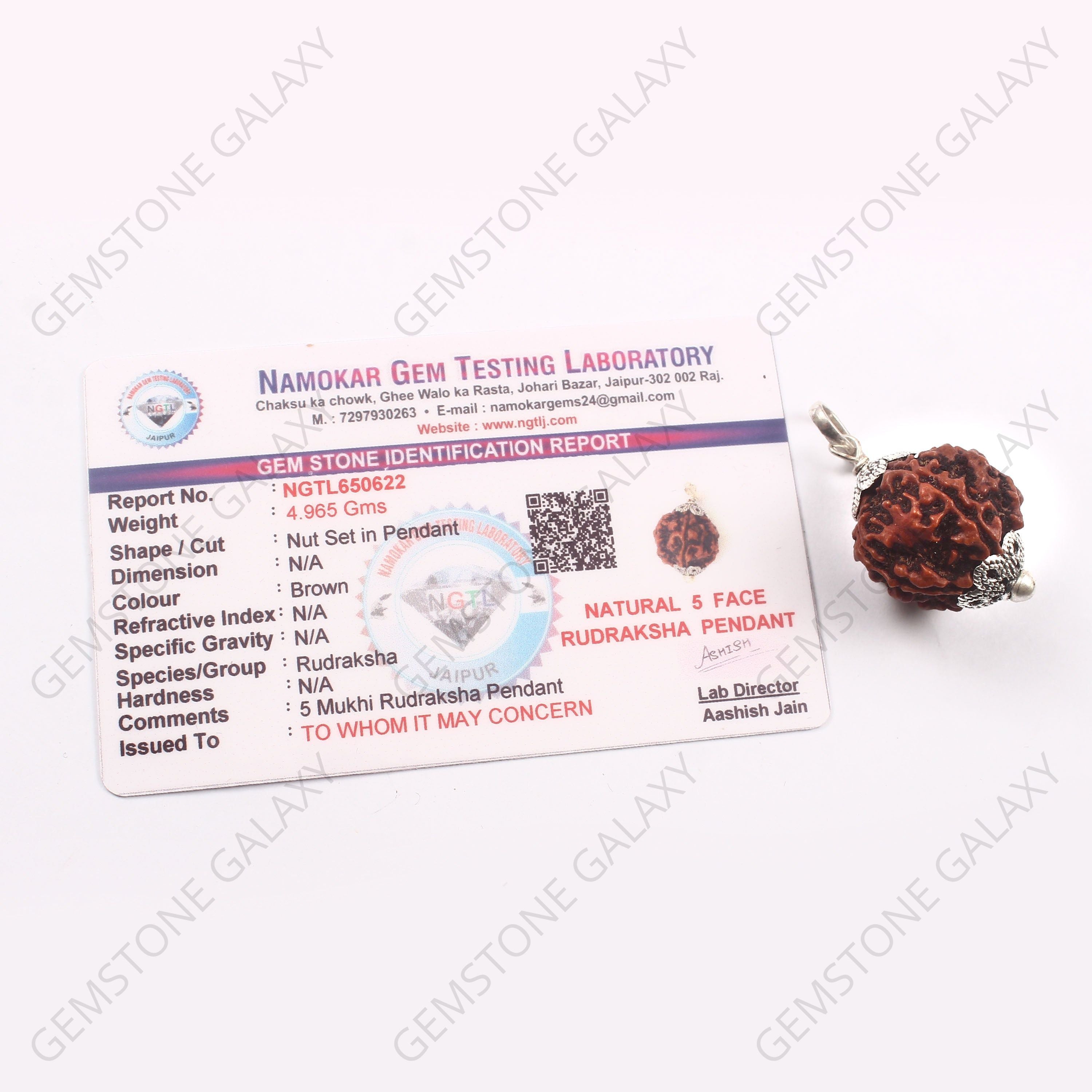 5 Mukhi Rudraksha Pendant