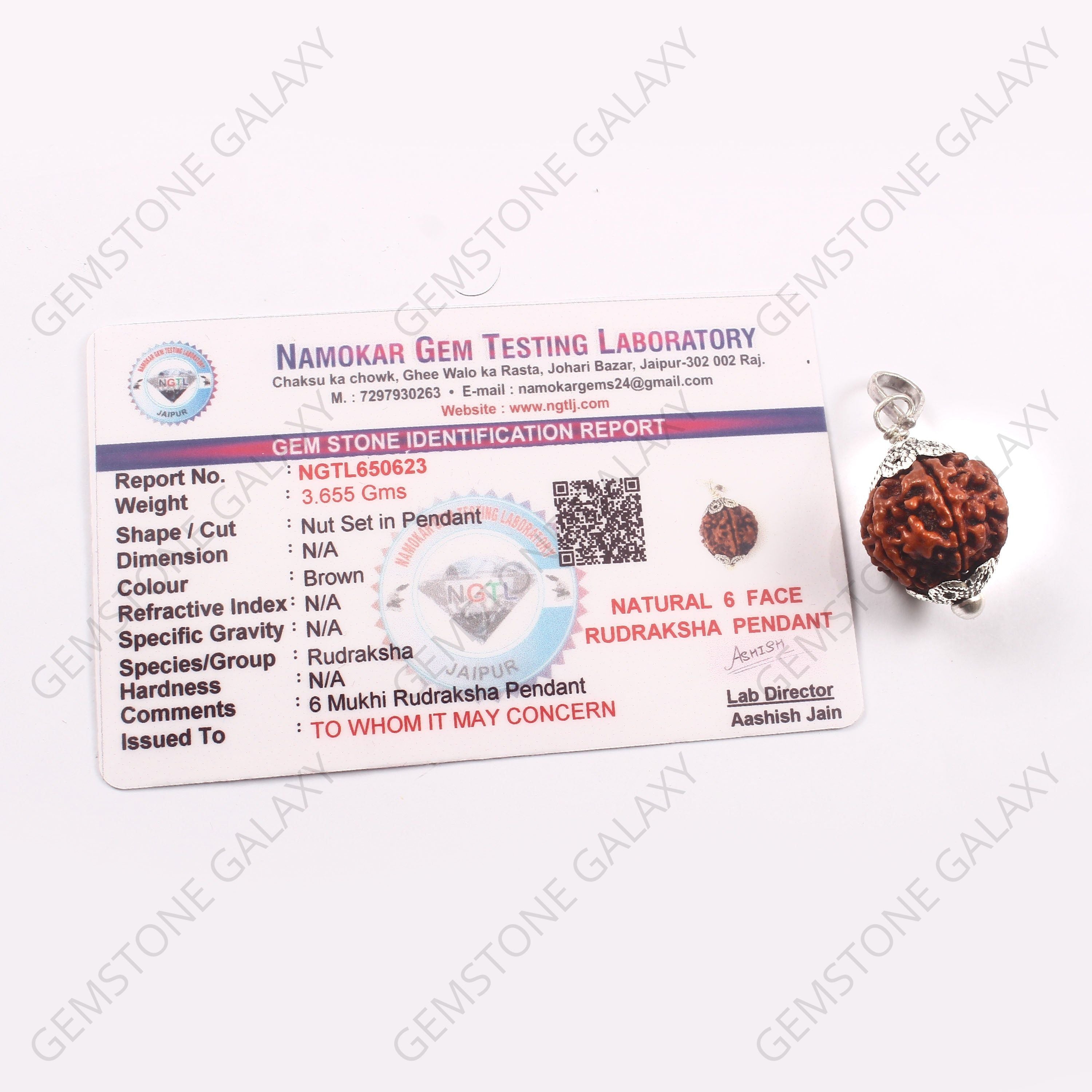 6 Mukhi Rudraksha Pendant