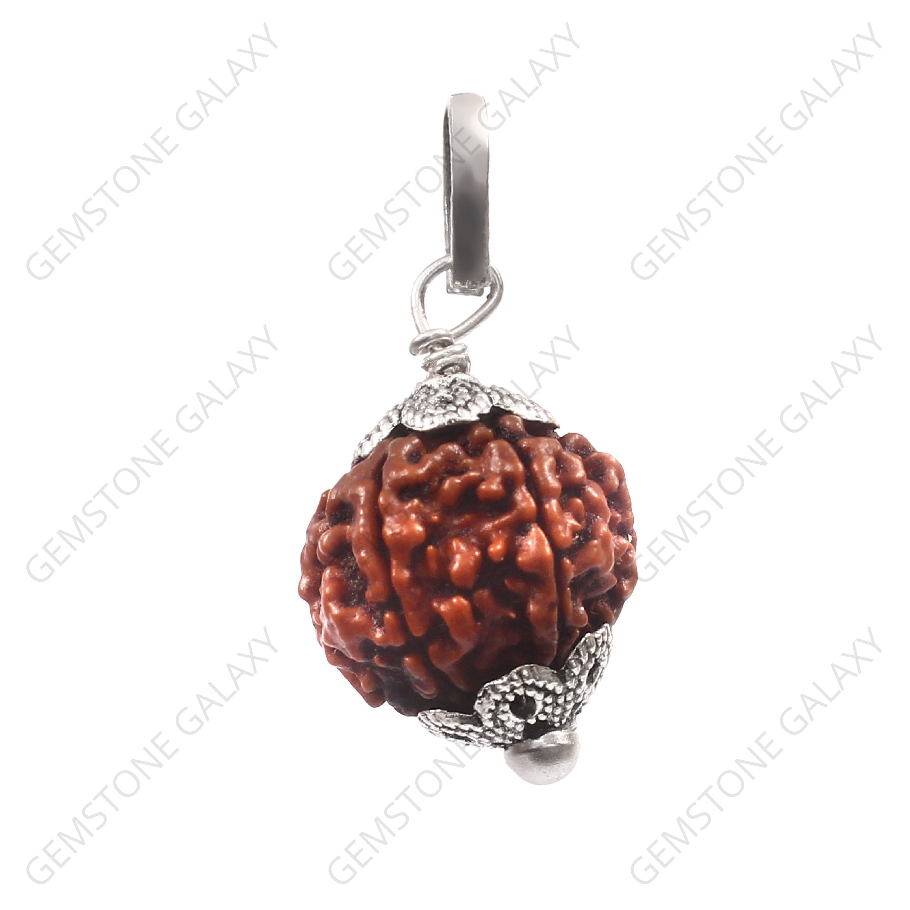 6 Mukhi Rudraksha Pendant