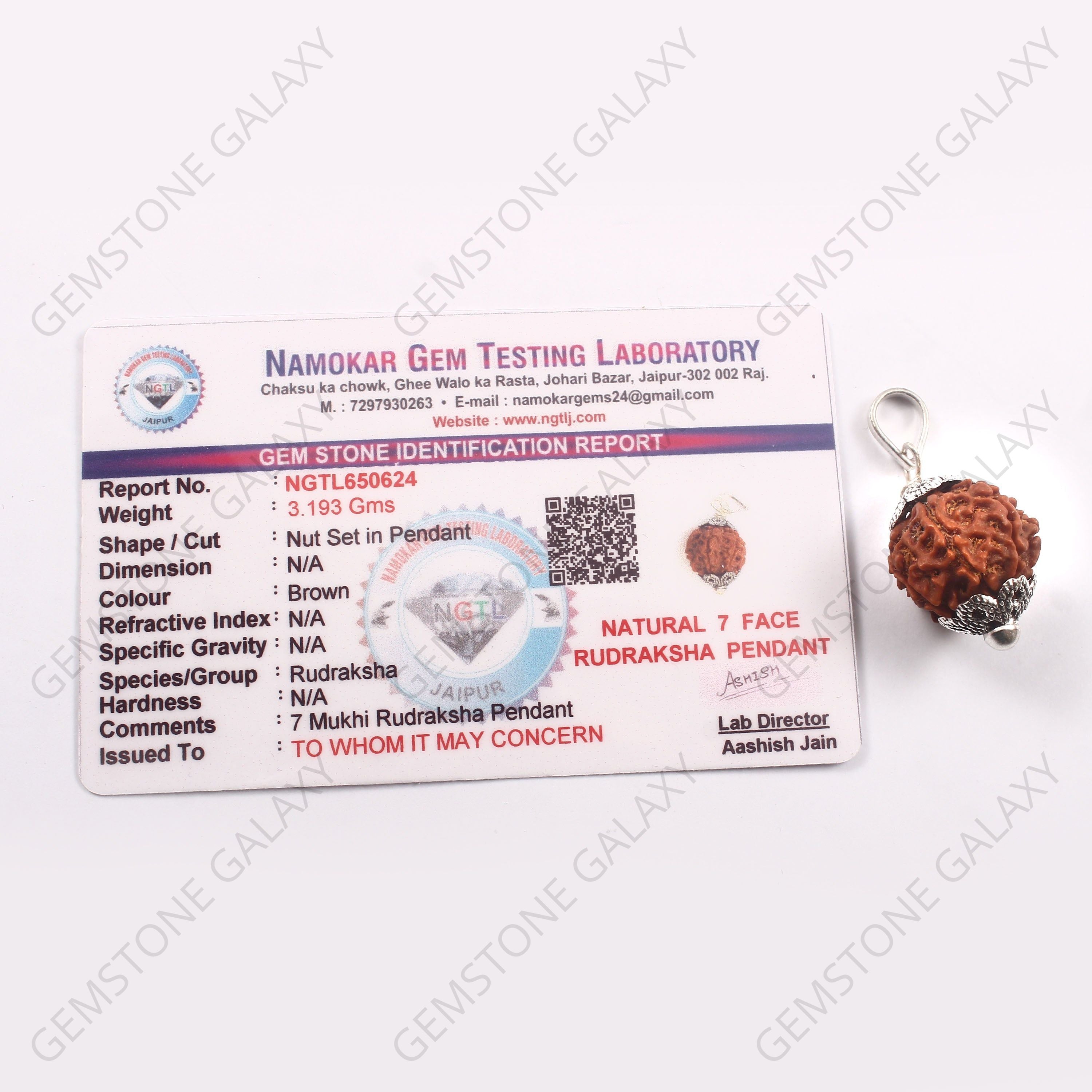 7 Mukhi Rudraksha Pendant