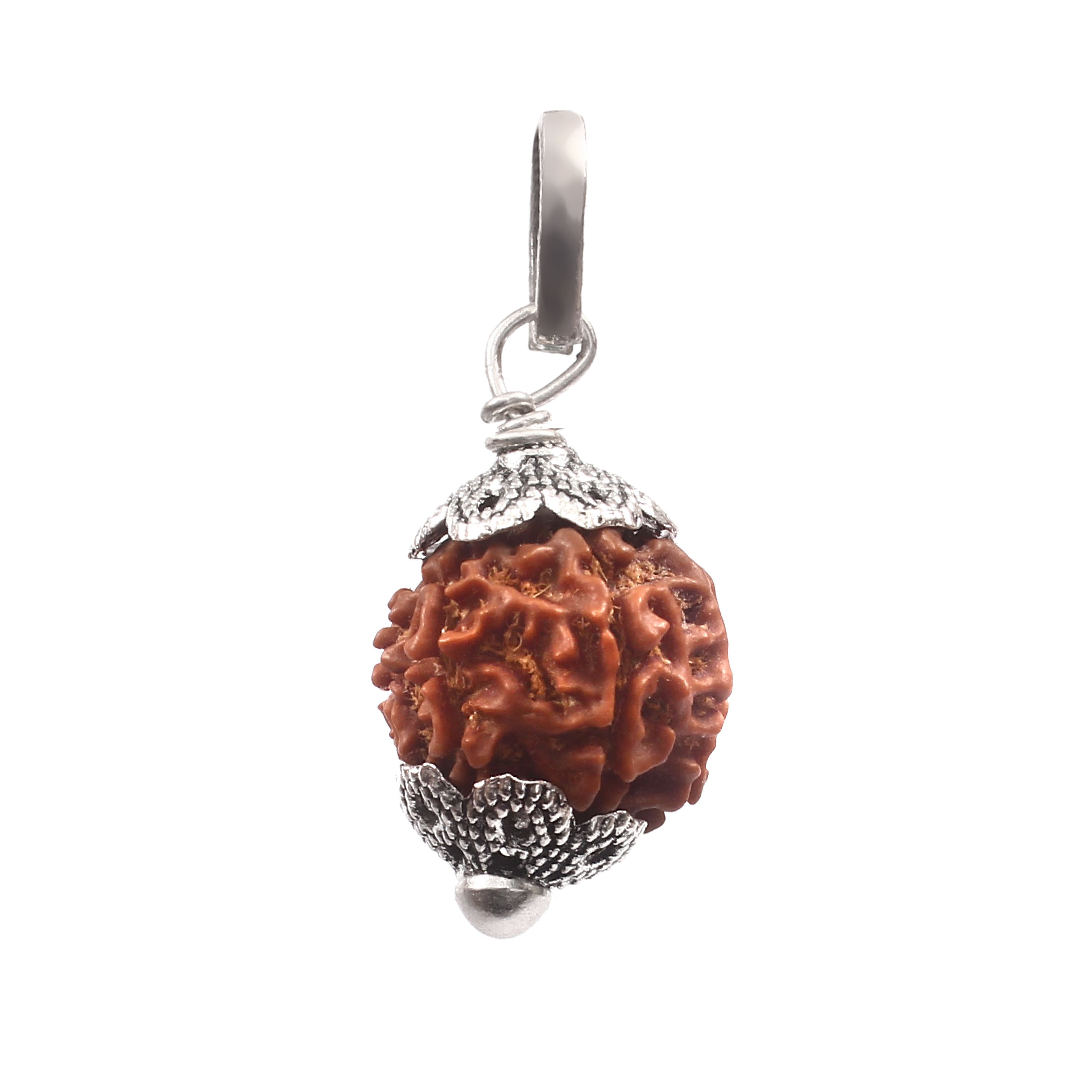 7 Mukhi Rudraksha Pendant