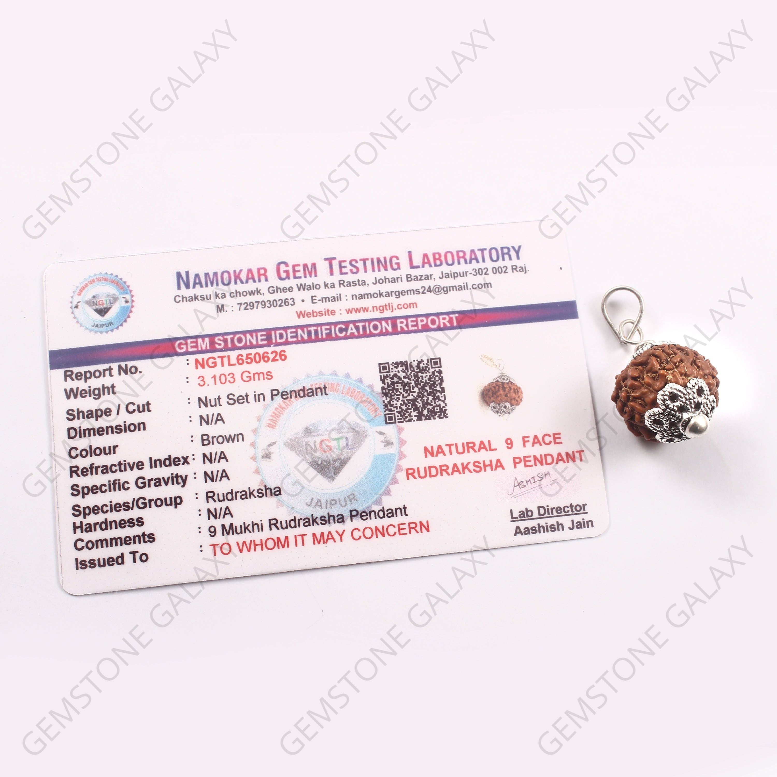 9 Mukhi Rudraksha Pendant