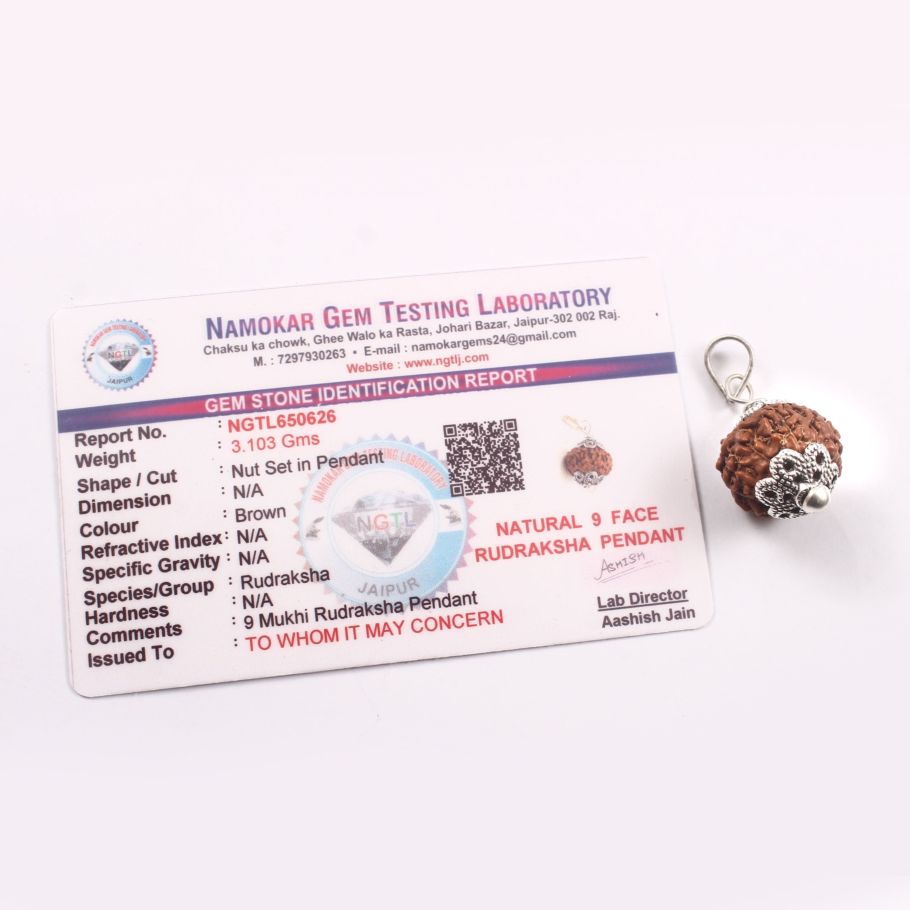 9 Mukhi Rudraksha Pendant