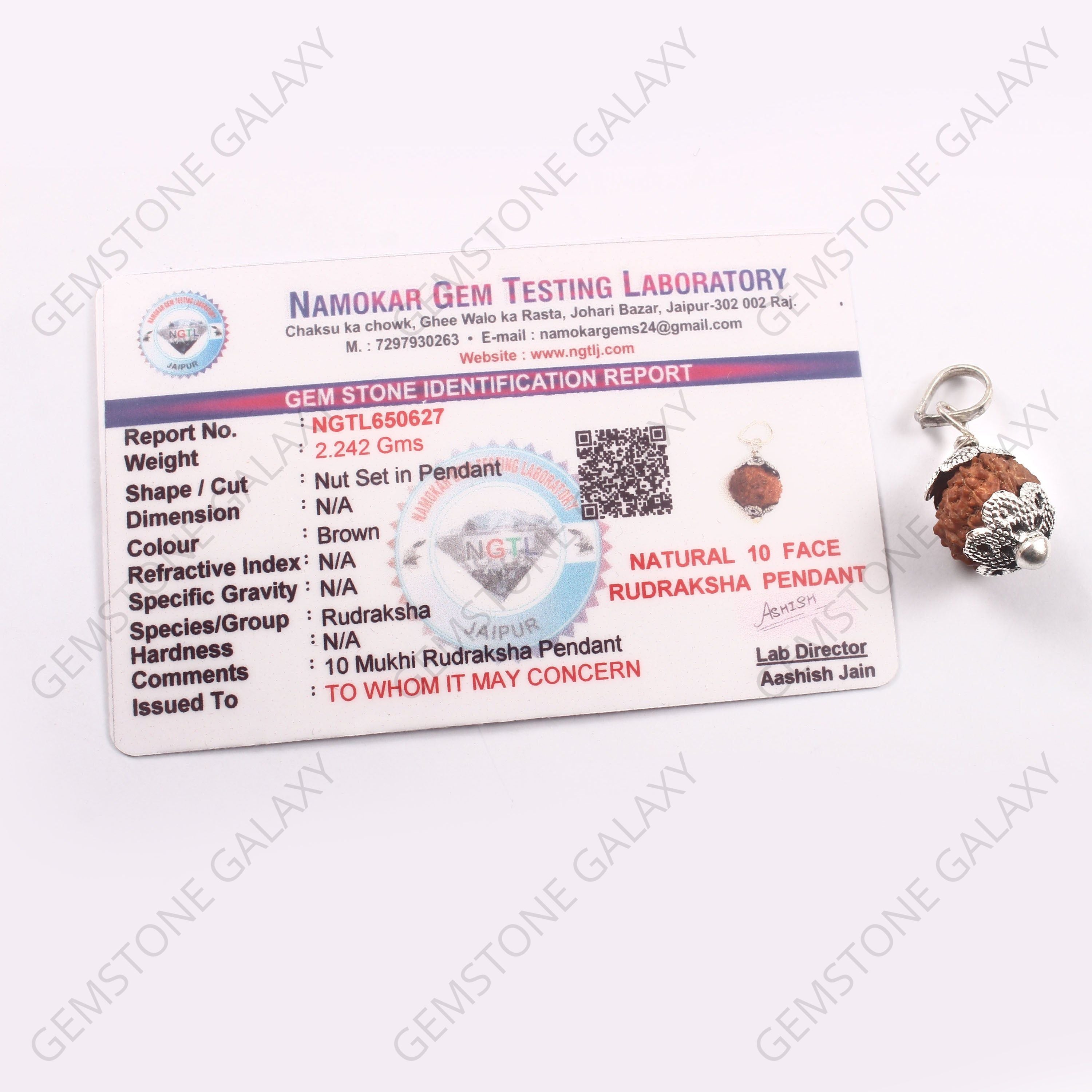 10 Mukhi Rudraksha Pendant