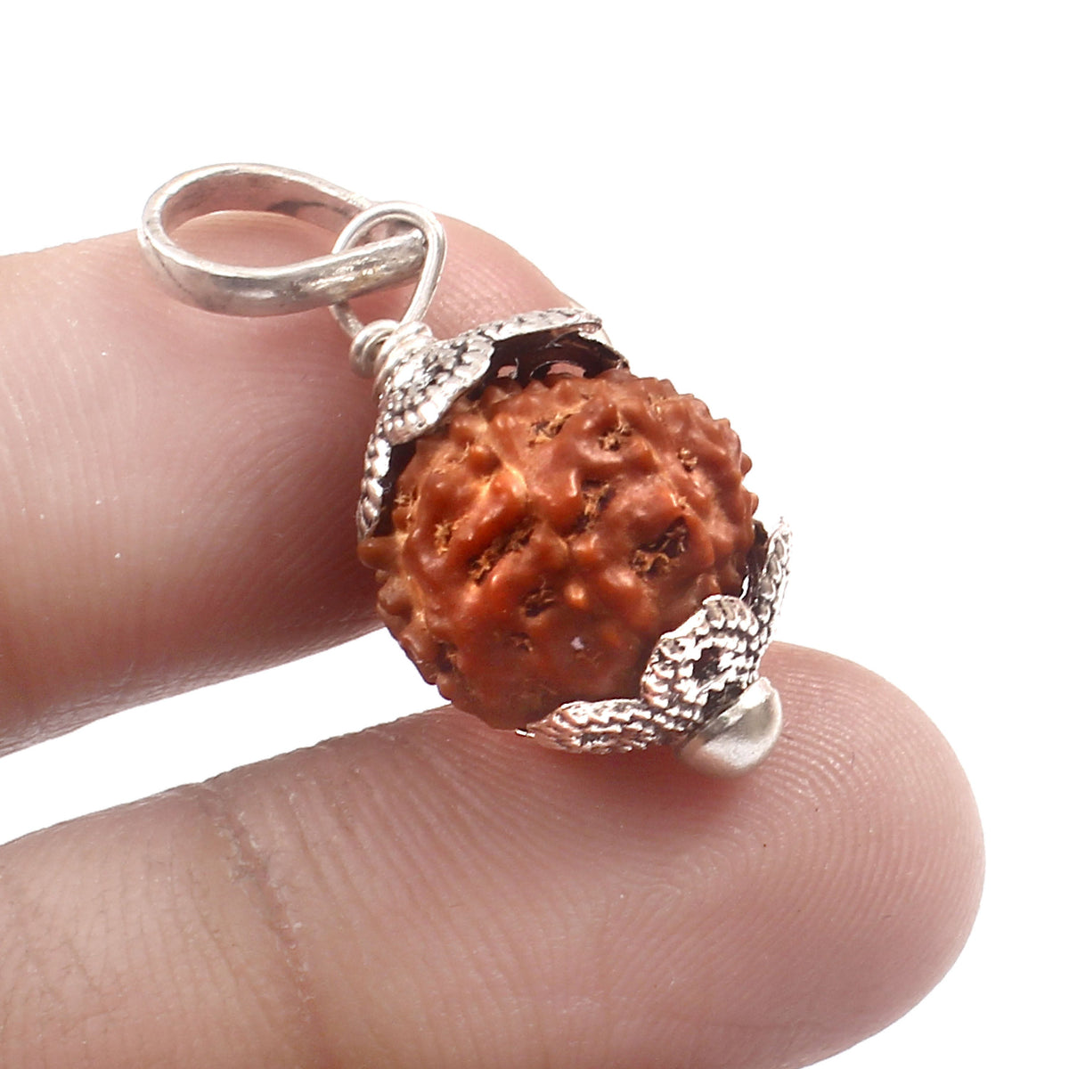 10 Mukhi Rudraksha Pendant
