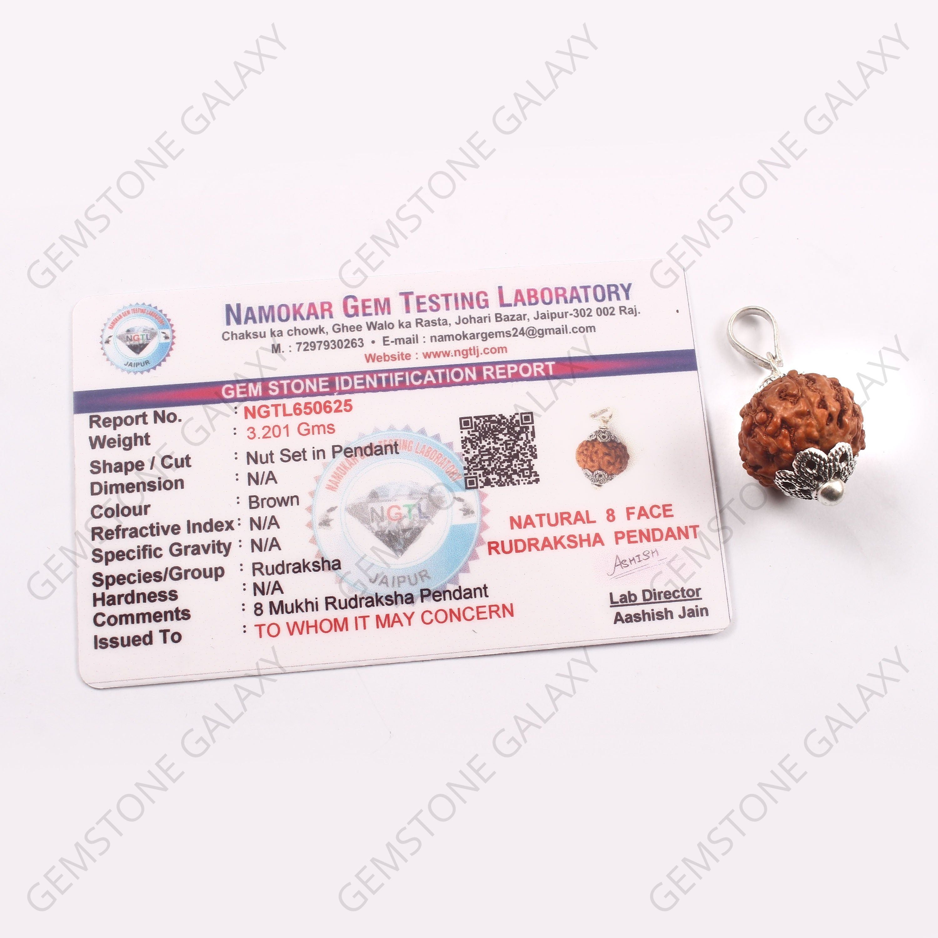 8 Mukhi Rudraksha Pendant