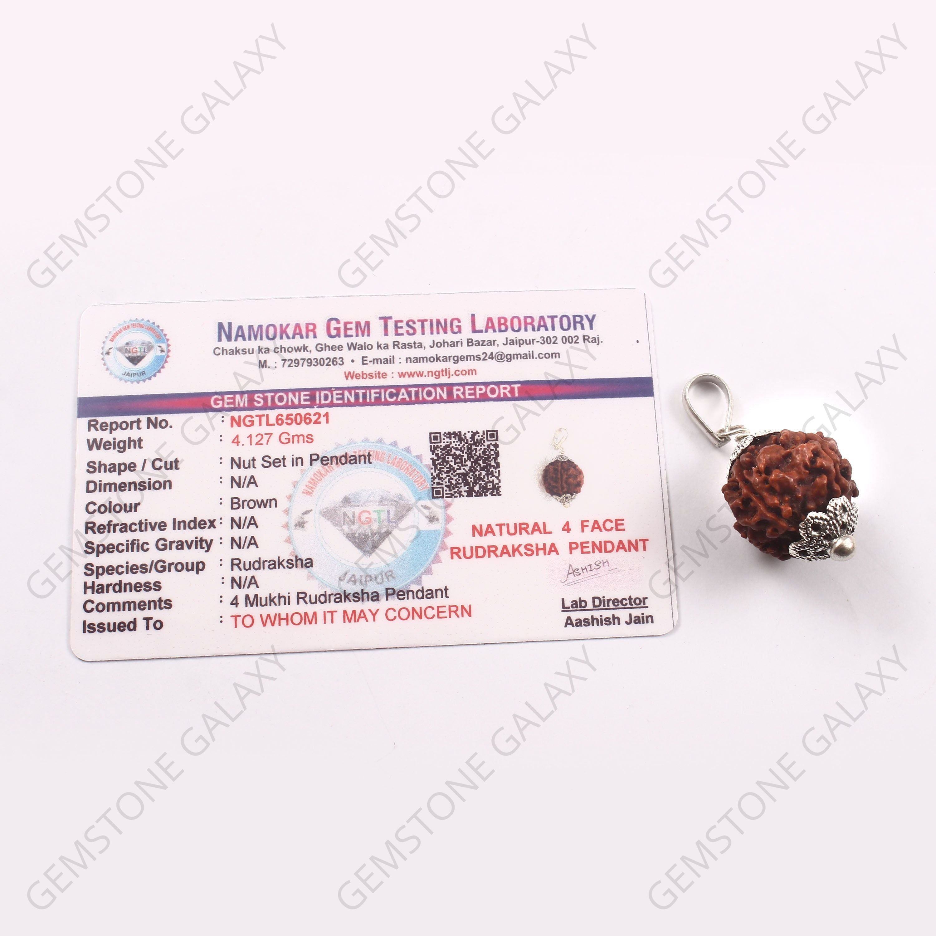 4 Mukhi Rudraksha Pendant