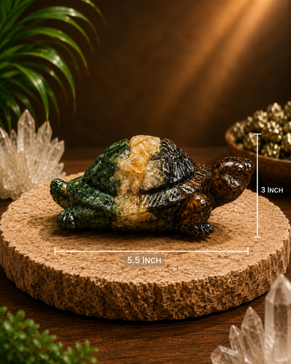 Vastu Dhan Yog Tortoise (Large Size)