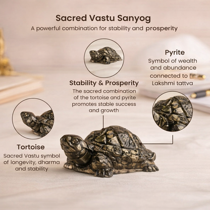 Vastu Pyrite Tortoise (Kachhua)