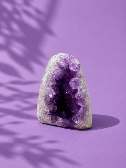 Amethyst Cluster (474gm)