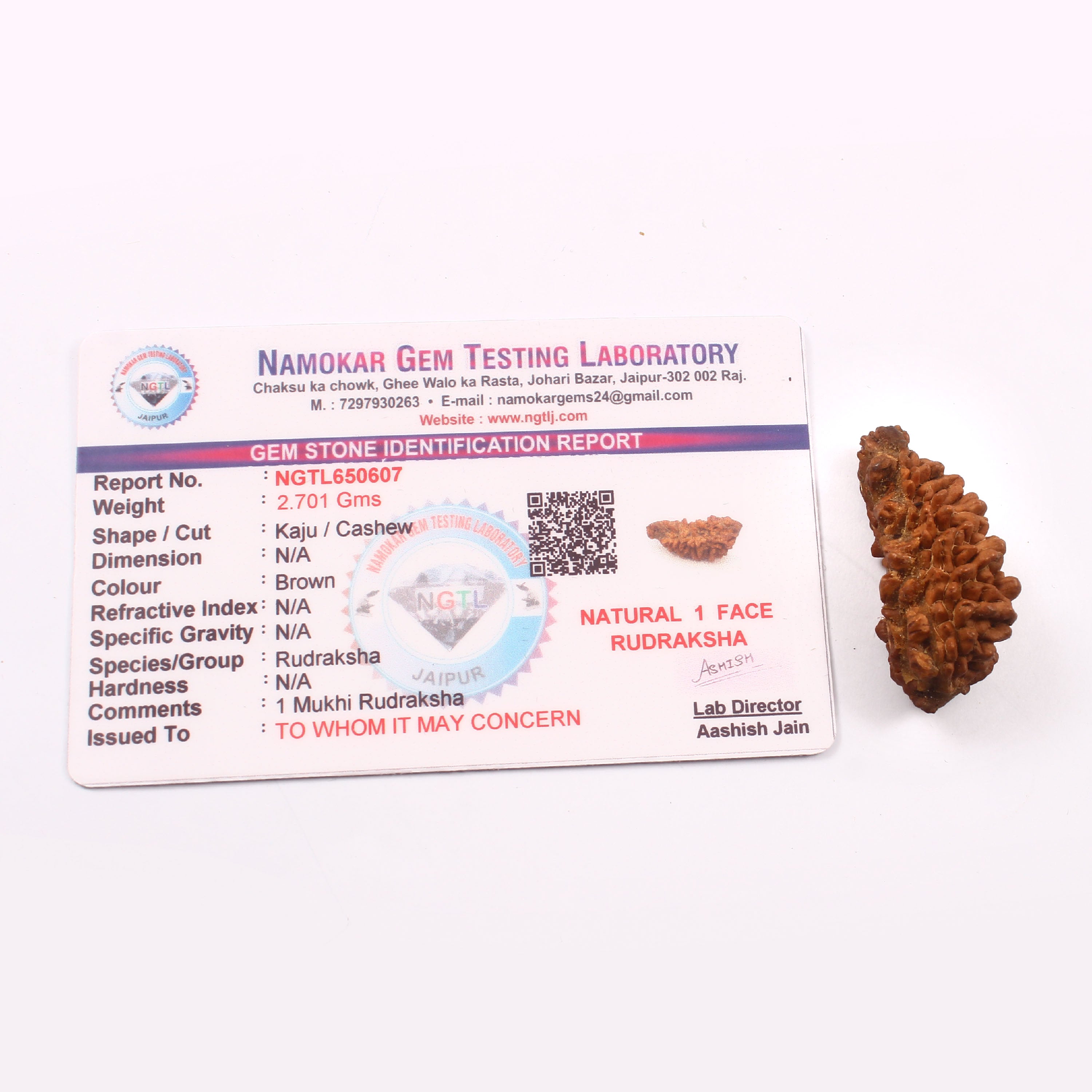 1 Mukhi Rudraksha