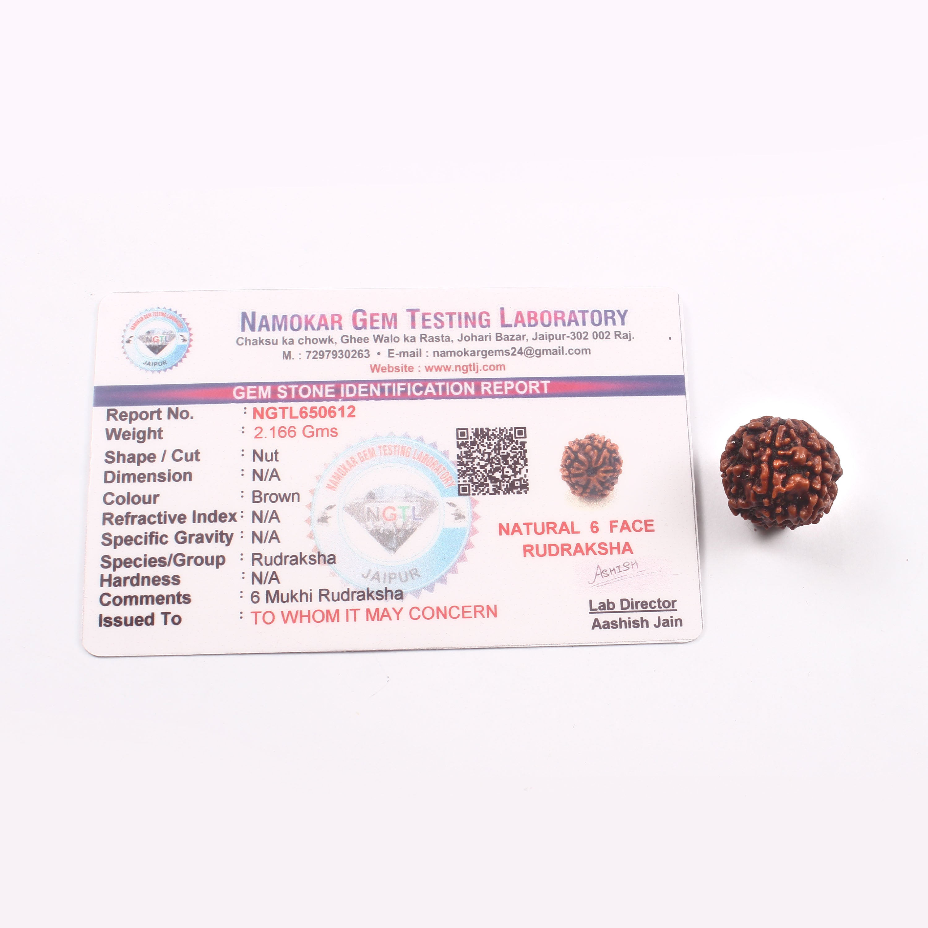 6 Mukhi Rudraksha