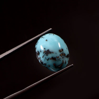 Irani Turquoise (Firoza) ( 9.7 Carat/ 10.64 Ratti )