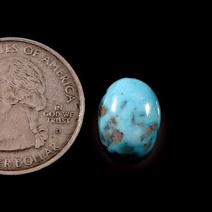 Irani Turquoise (Firoza) ( 6.5 Carat/ 7.13 Ratti)