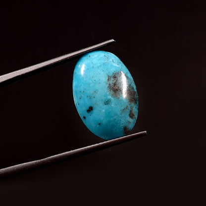 Irani Turquoise (Firoza) (11 Carat/ 12.07 Ratti )