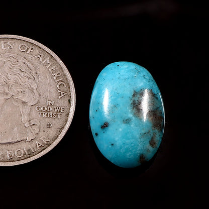 Irani Turquoise (Firoza) (11 Carat/ 12.07 Ratti )