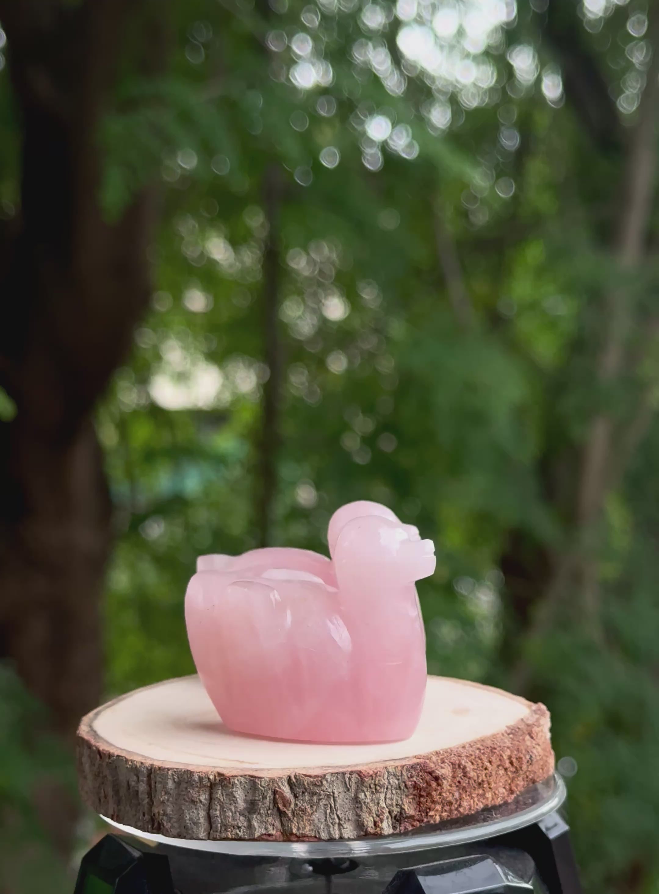 Rose Quartz Duck (Set of 2)