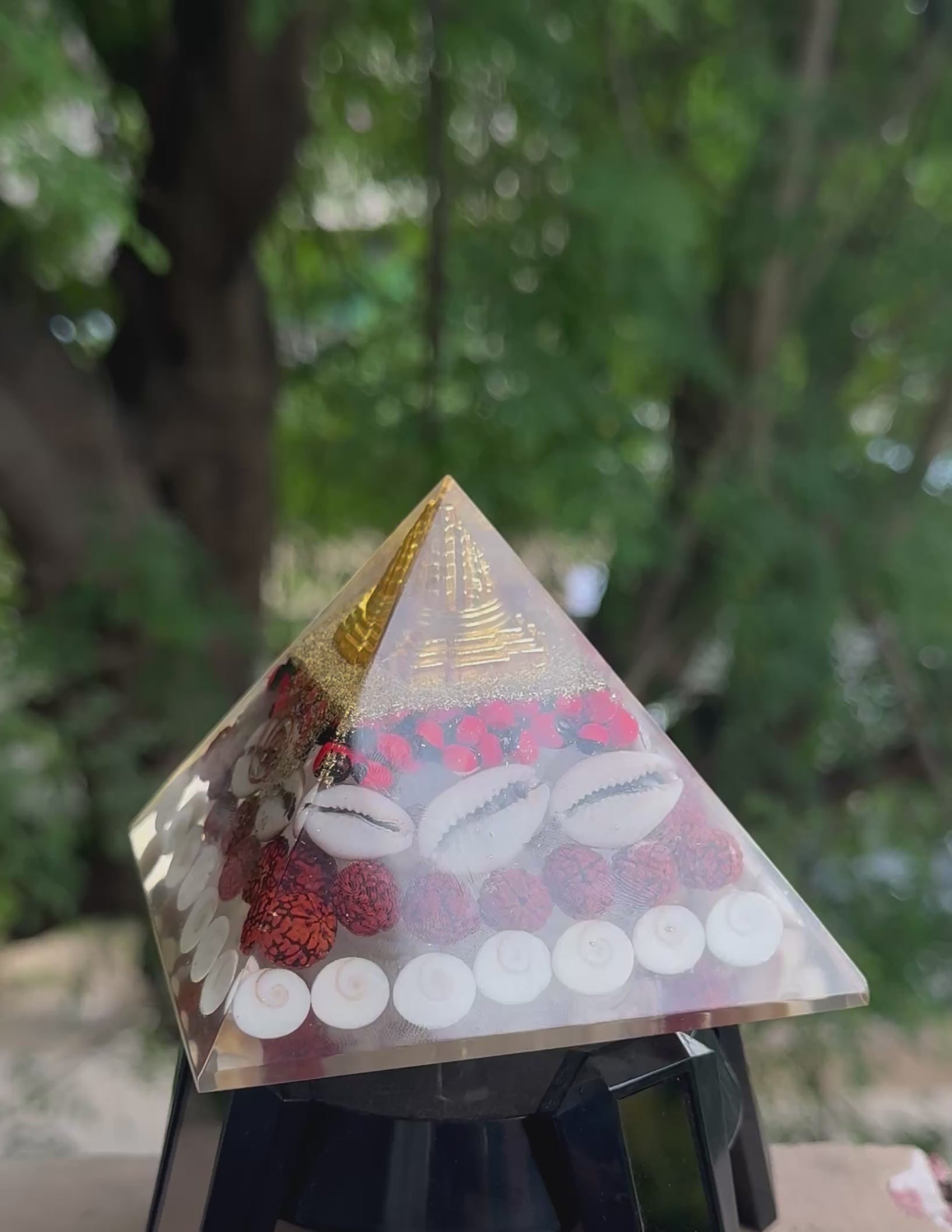Laxmi Pyramid - Shree Yantra Gomti Chakra